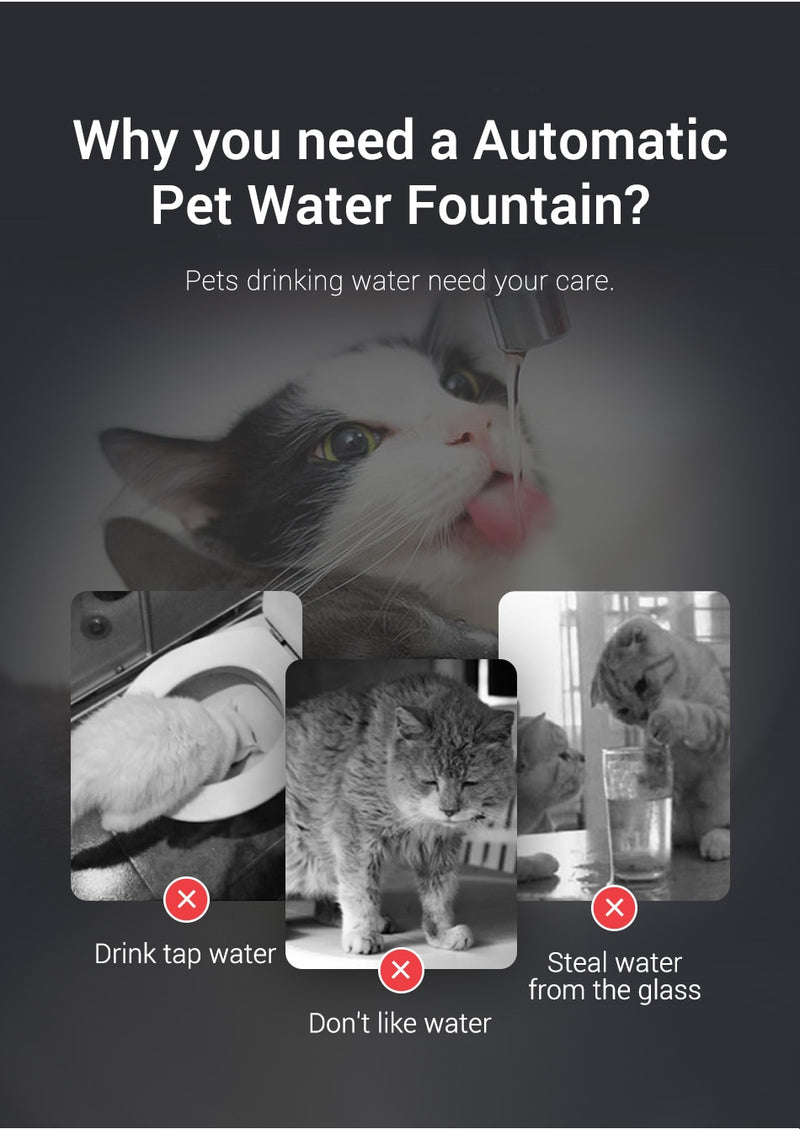 Pet Water Fountain