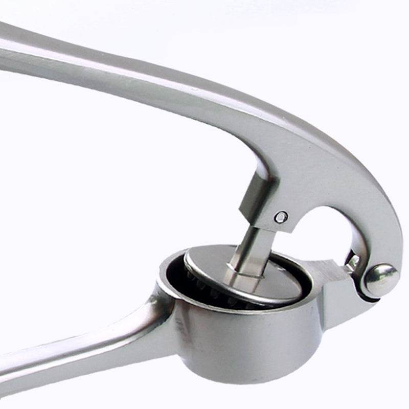 Sleek Stainless Steel Garlic and Ginger Press