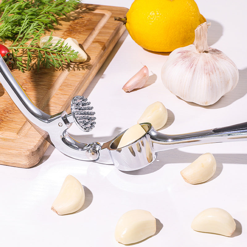 Sleek Stainless Steel Garlic and Ginger Press