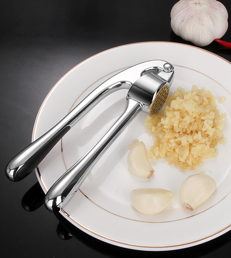 Sleek Stainless Steel Garlic and Ginger Press