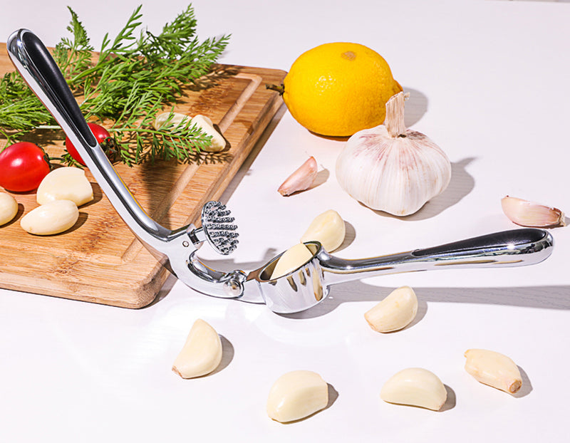 Sleek Stainless Steel Garlic and Ginger Press